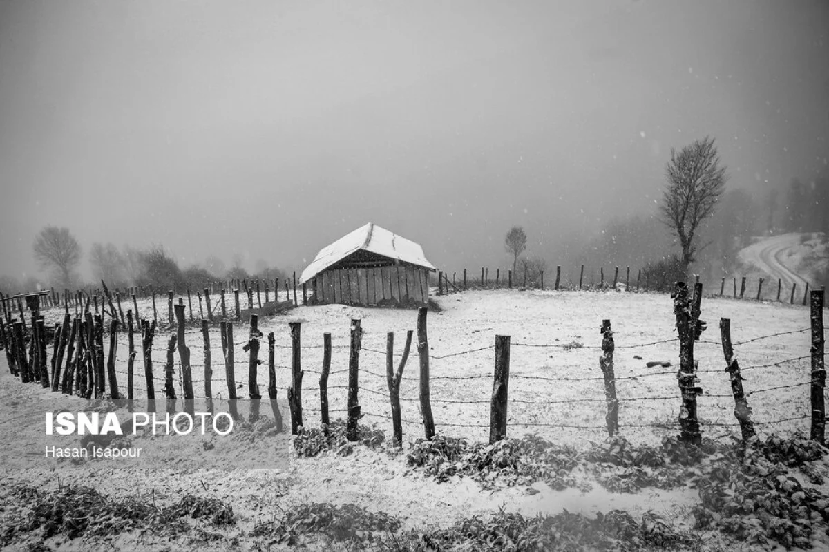 2025-12-03_23-32-42_408560-meylesokhan-ir 63677917