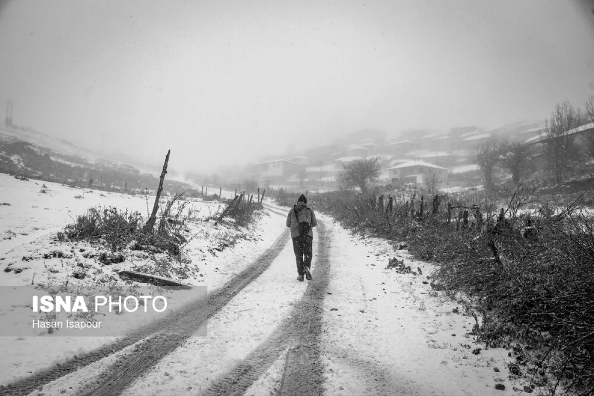 2025-12-03_23-32-42_809984-meylesokhan-ir 63677918