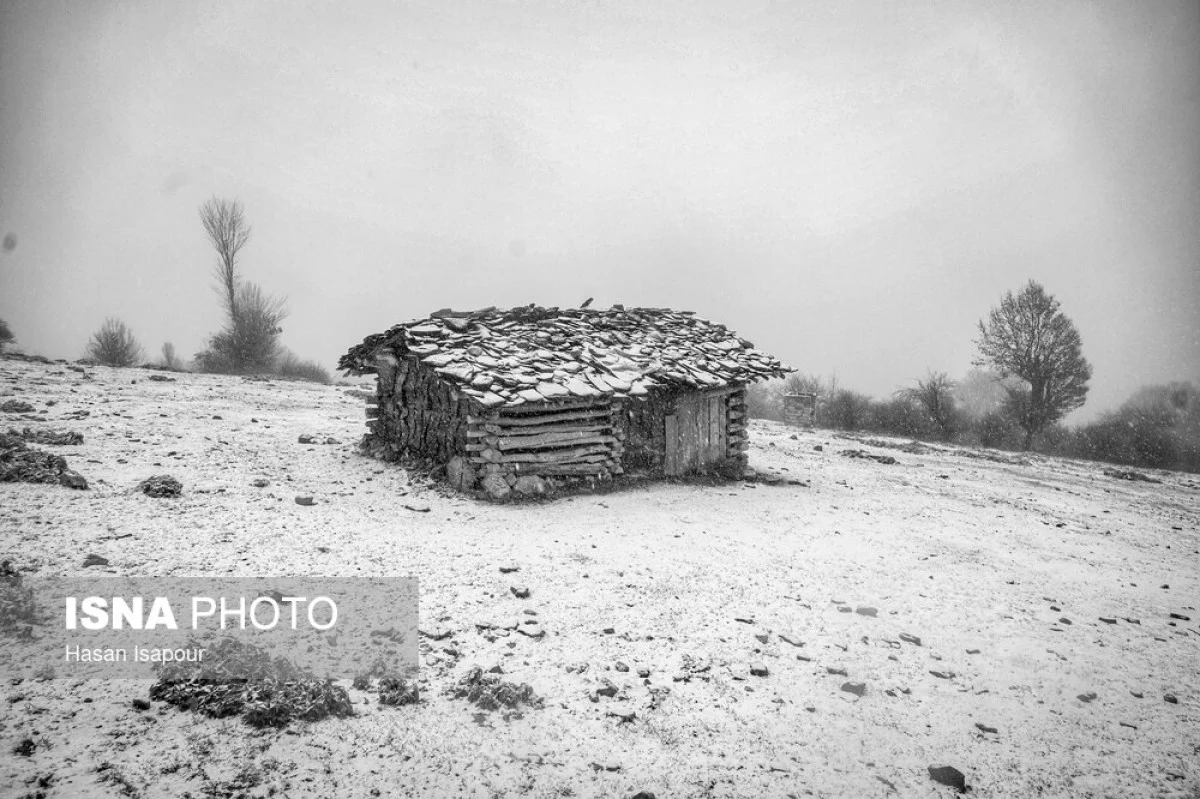 2025-12-03_23-32-43_140608-meylesokhan-ir 63677921