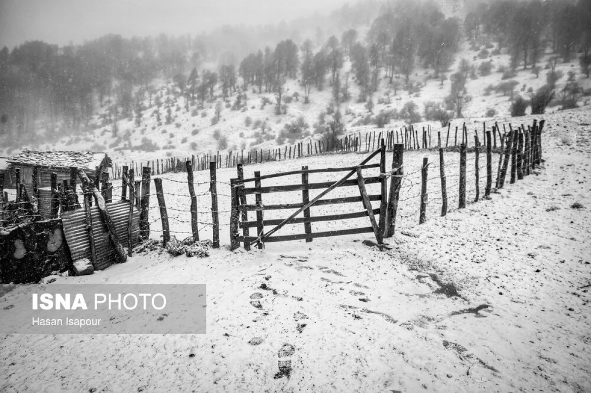 2025-12-03_23-32-43_494490-meylesokhan-ir 63677922