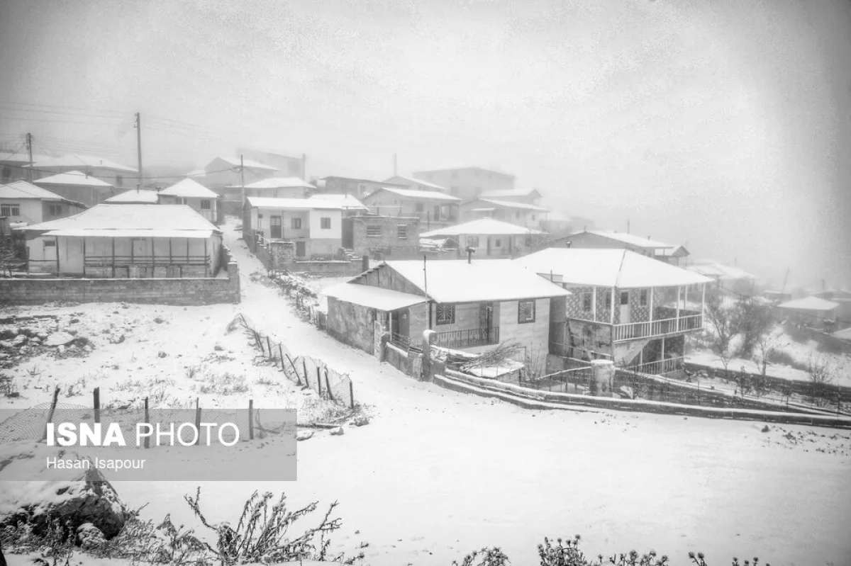 2025-12-03_23-32-44_634985-meylesokhan-ir 63677932