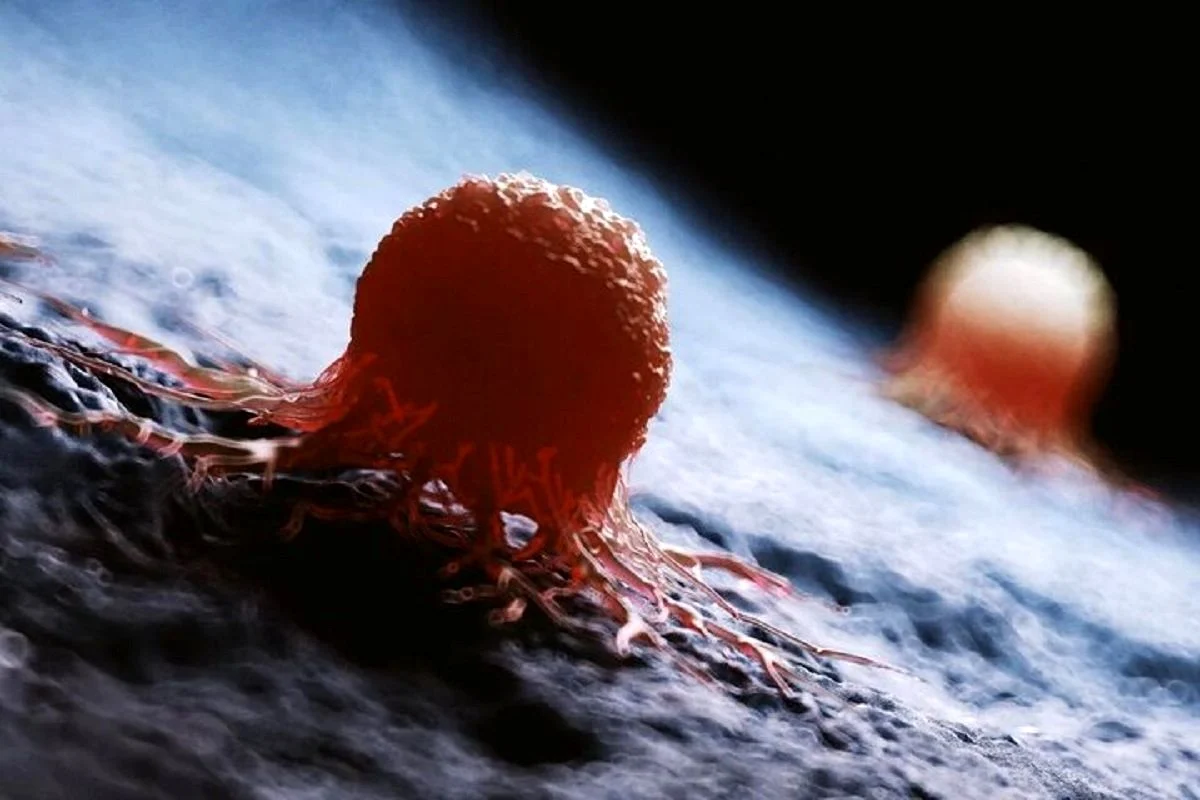 انقلاب در درمان سرطان: هوش مصنوعی راز ۱۰۰ ساله را کشف کرد