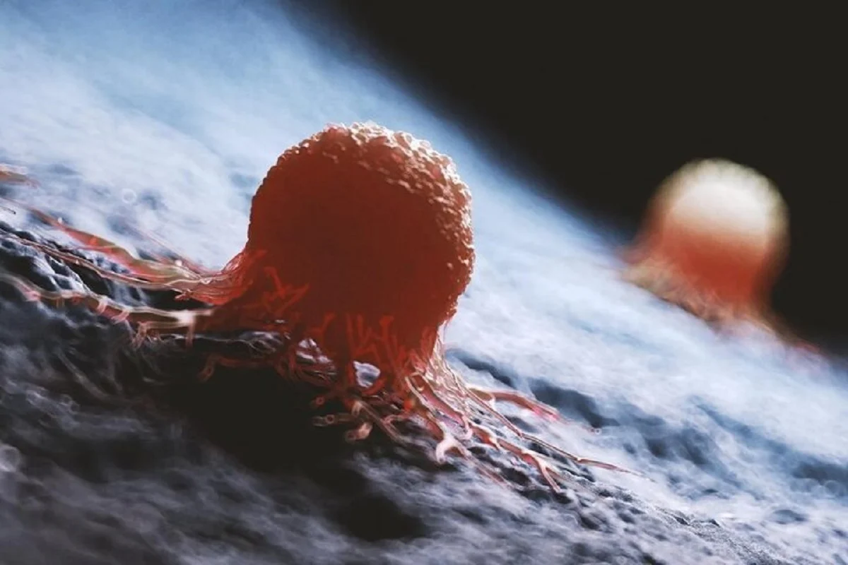 2025-12-04_09-08-54_867920-meylesokhan-ir 2391058_157