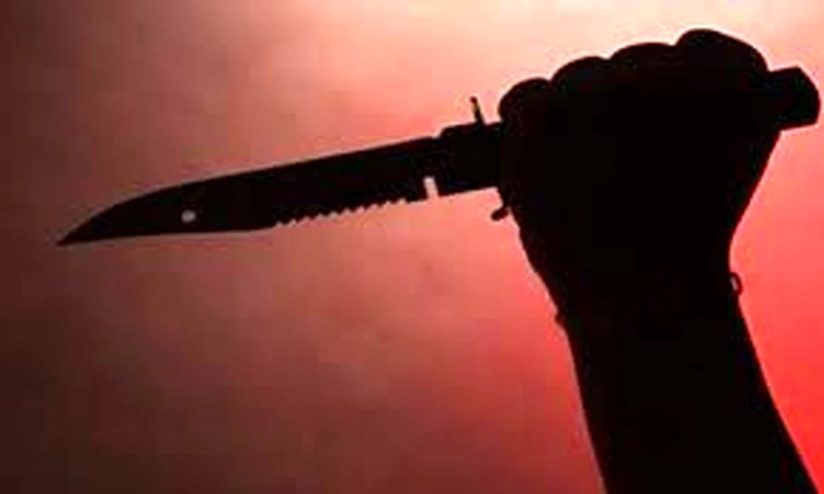 قتل مادر تهرانی با ۸۶ ضربه چاقو به خاطر سوظن پسرش