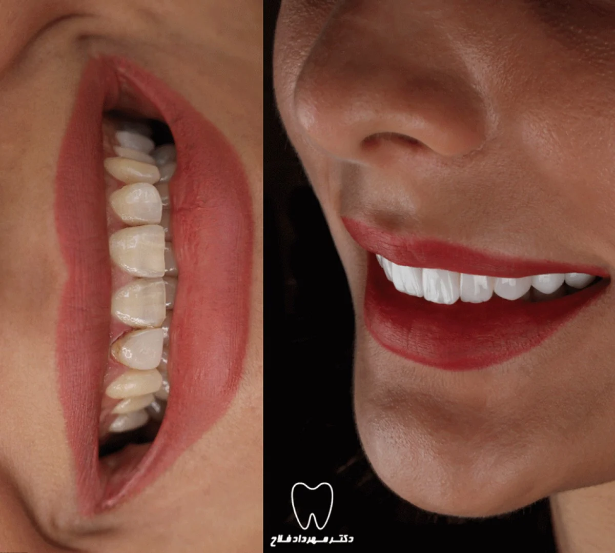 دکتر مهرداد فلاح