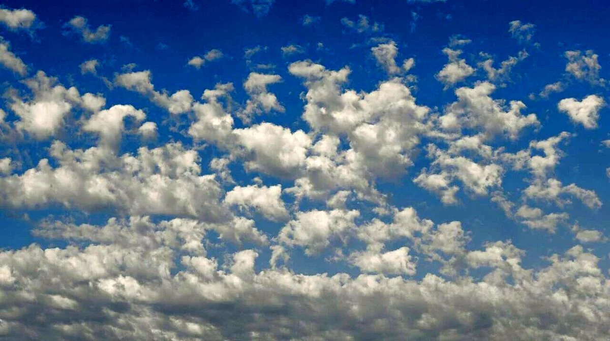 رنگ سال ۲۰۲۶ رسماً اعلام شد رنگ سال ۲۰۲۶ رسماً اعلام شد