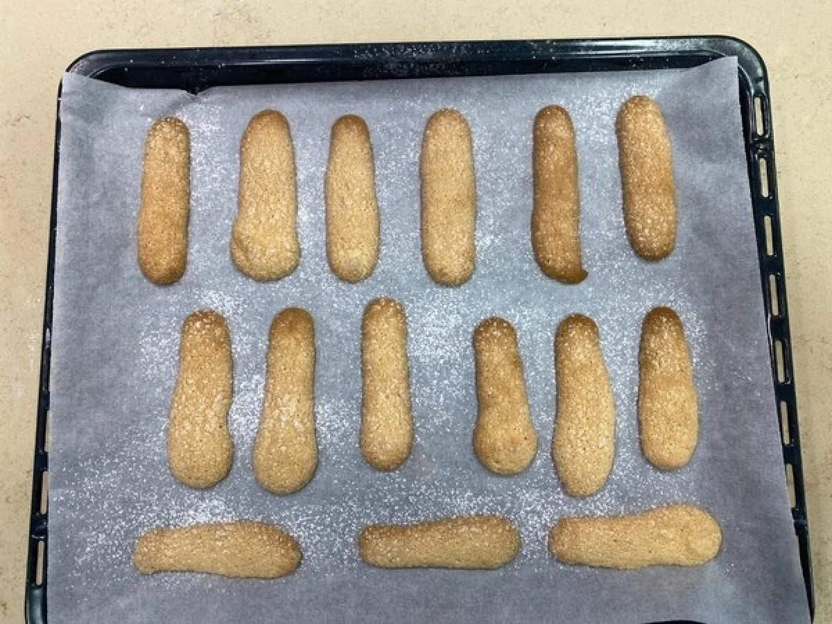 2025-12-06_12-44-59_422671-meylesokhan-ir 5282860