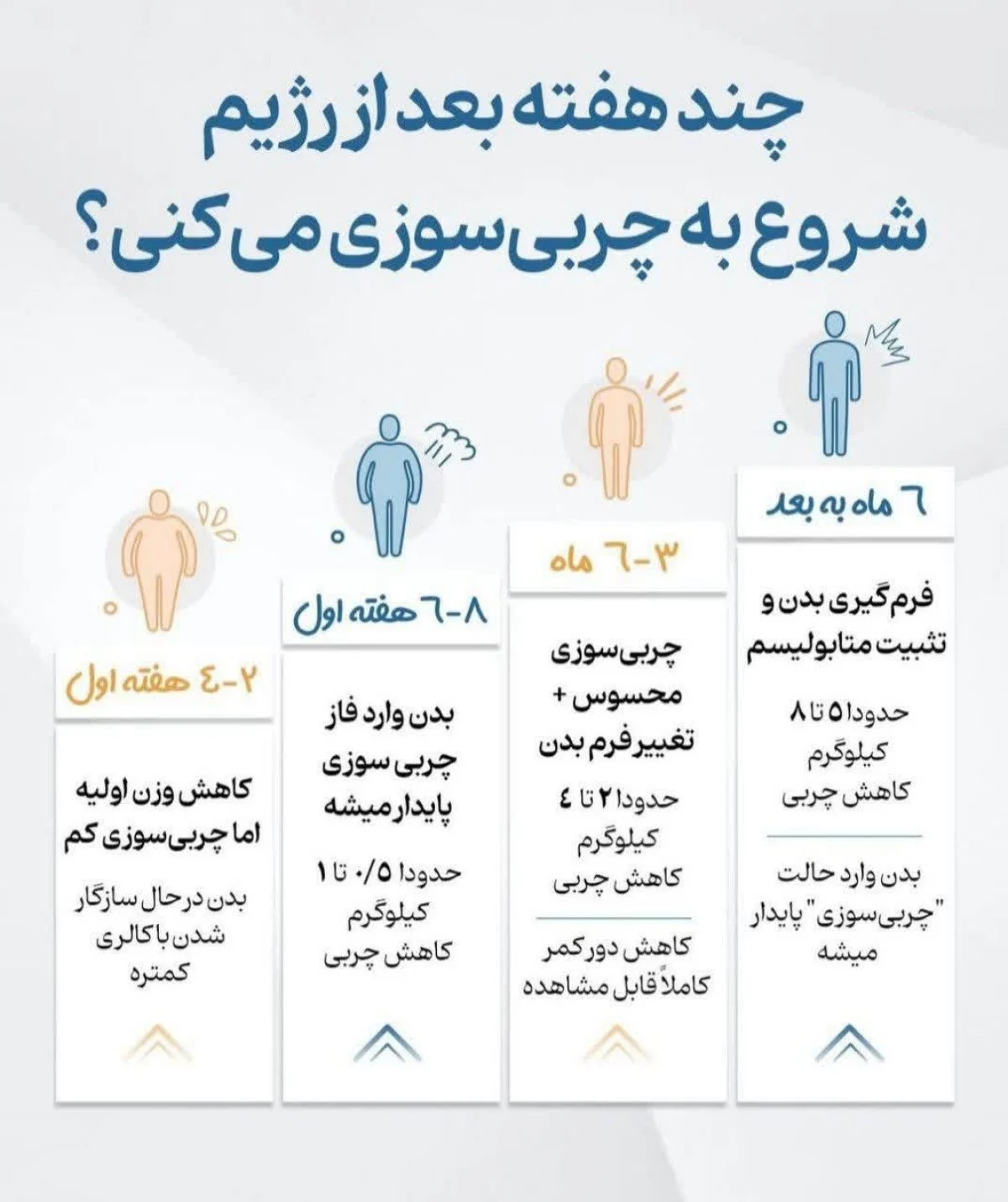 چند هفته بعد از شروع رژیم بدن وارد چربیسوزی میشود؟ | جدول کامل مراحل چربیسوزی چند هفته بعد از شروع رژیم بدن وارد چربیسوزی میشود؟ | جدول کامل مراحل چربیسوزی