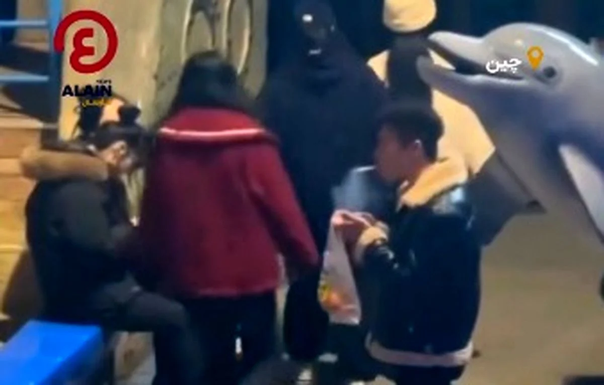 نقد مطلب/ درس عبرتی که دلفین به فرد سیگاری داد!